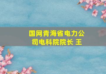 国网青海省电力公司电科院院长 王